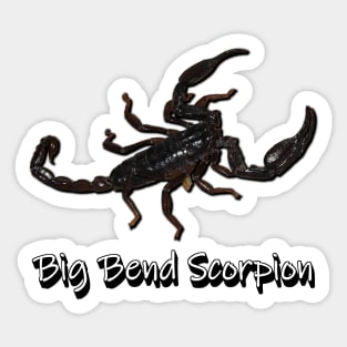 Big Bend Scorpion Sticker